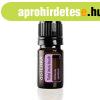 Tulsi (Szent Bazsalikom) illolaj 5ml - doTERRA