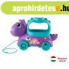 Fisher-Price labdz dinpajti