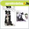 Kutys Border Collie gynemhuzat 140200cm JFK037409