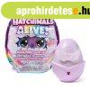 Hatchimals - Gyjthet 1db-os