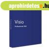 Visio 2016 Professional (D87?07284)