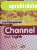 Channel Your English - Pre-Intermediate Companion - H. Q. Mi